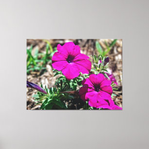 Impressão Em Tela Petúnias Rosa Vibrante em Flor