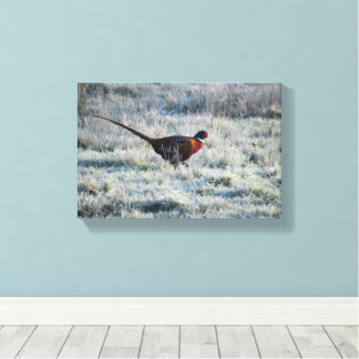 Impressão Em Tela Pheasant 