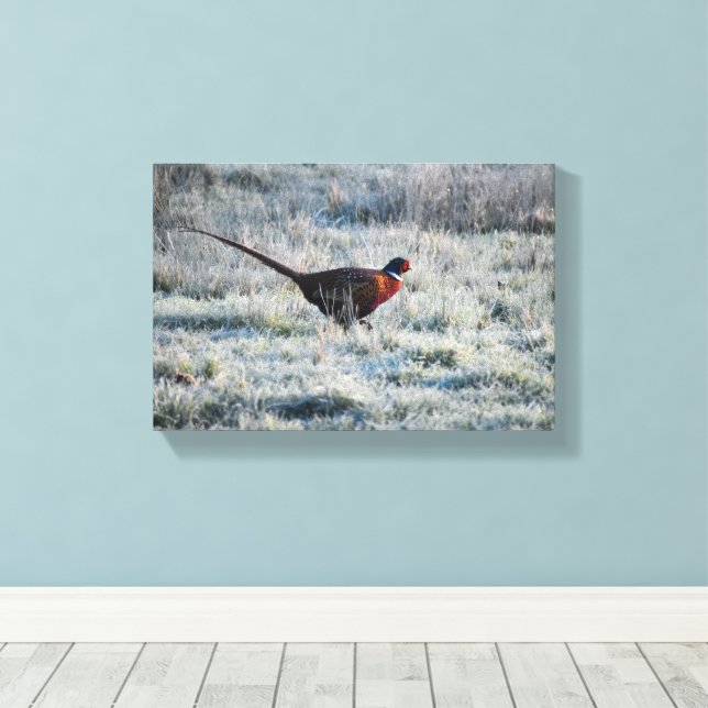 Impressão Em Tela Pheasant  (Insitu(piso de madeira))