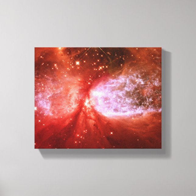 Impressão Em Tela Phoenix (Frente)