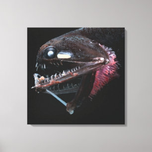 Impressão Em Tela Photostomias Guernei