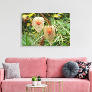 Impressão Em Tela Physalis alkekengi