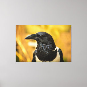 Impressão Em Tela Pied Crow Grande (60.00" x 39.00"), 1.5", Única