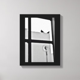 Impressão Em Tela Pigeon Drama