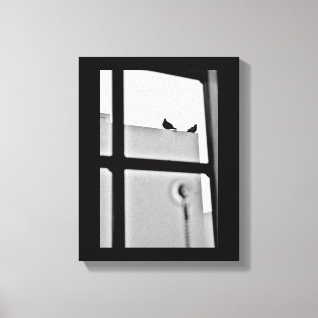 Impressão Em Tela Pigeon Drama (Frente)