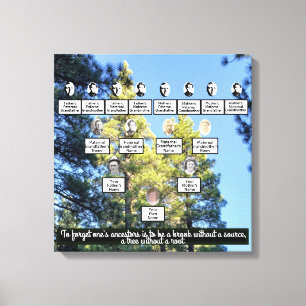 Impressão Em Tela Pine Forest Photo Family Tree 4 Generation