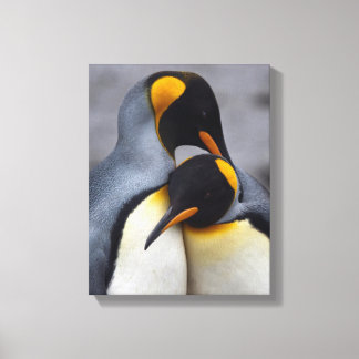 Impressão Em Tela Pinguins-Imperadores Enamorados em Tela Enrolada