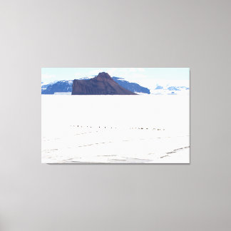 Impressão Em Tela Pinguins na Antártida