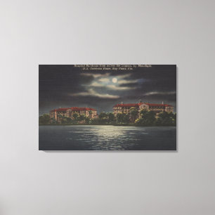 Impressão Em Tela Pinhos da baía, Florida - vista enluarada do