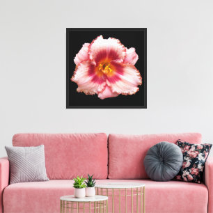 Impressão Em Tela Pink Daylily Bloom no Floral Negro