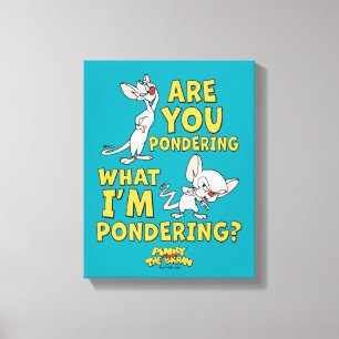 Impressão Em Tela Pinky e o Cérebro   Você Está Ponderando?