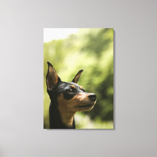 Impressão Em Tela Pinscher Miniatura (Min-Pin) 2 (Frente)
