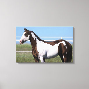 Impressão Em Tela Pinte a posição do cavalo