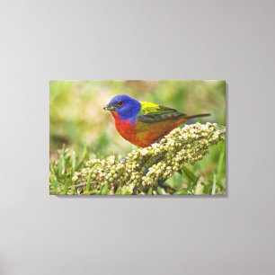 Impressão Em Tela Pintor Verdadeiro