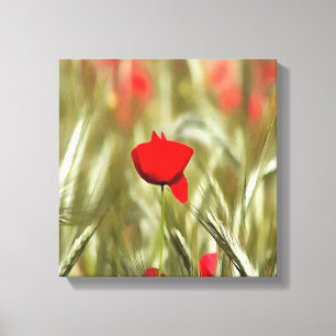Impressão Em Tela Pintura Acrínica de Hot Poppy