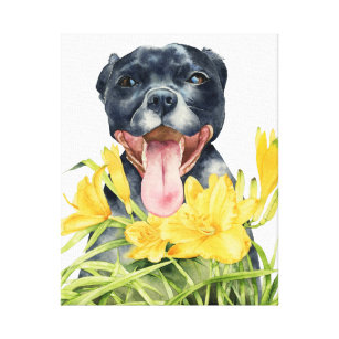 Impressão Em Tela Pintura da aguarela do cão do pitbull, belas artes