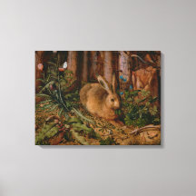 Pintura da Floresta Natural Hoffmann Hare