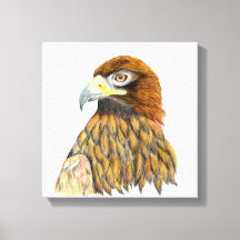 Pintura de Aquarela de Águia ouro
