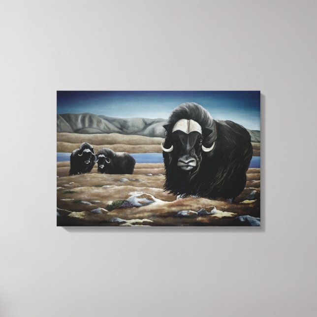 Impressão Em Tela Pintura de Boi-Almiscarado Vida Selvagem Canadense (Frente)