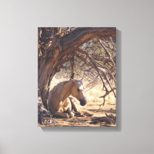 Impressão Em Tela Pintura de Cavalo no Bosque ao Pôr do Sol Sonhador