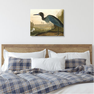 Impressão Em Tela Pintura de Heron Audubon com Crane Azul