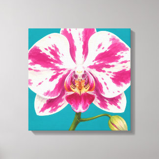 Impressão Em Tela pintura de orquídea