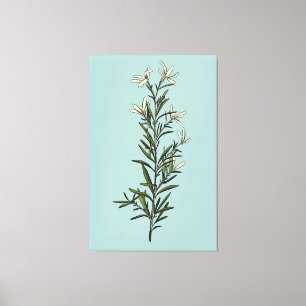 Impressão Em Tela Pintura de Sprig Rosemary Verde Esmagadora