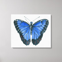 Pintura em aquarela da borboleta Blue Morpho