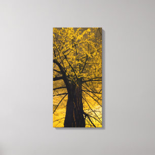 Impressão Em Tela Pintura em árvore amarela