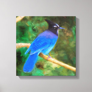 Impressão Em Tela Pintura em Jay de Steller - Arte original de páss