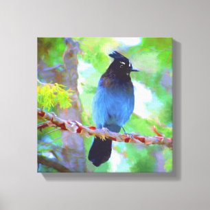 Impressão Em Tela Pintura em Jay de Steller - Arte original sobre p