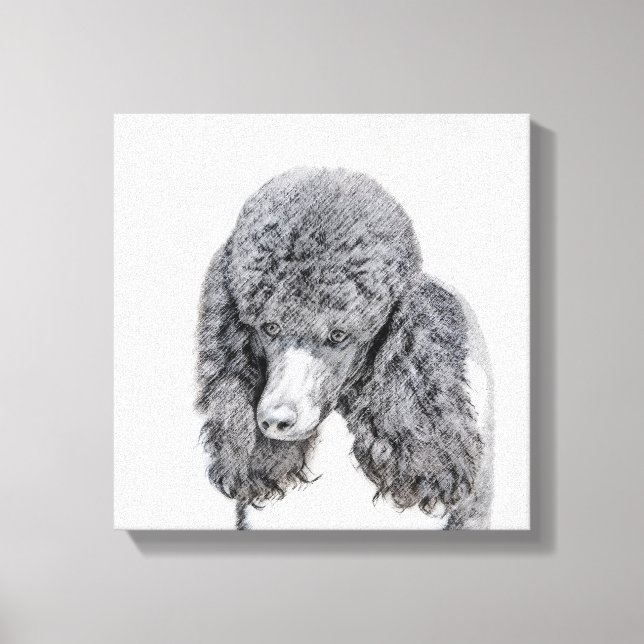 Impressão Em Tela Pintura Negra De Poodle Padrão - Arte Cão (Frente)