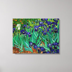 Impressão Em Tela PixDezines van gogh irises/st. remy