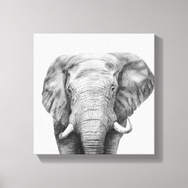 Impressão Em Tela Plano de backup IV (Frente)