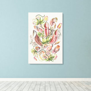 Impressão Em Tela Planta de Jarro Botânico Vintage Ernst Haeckel