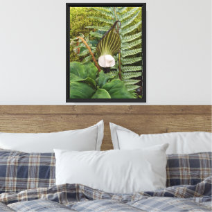 Impressão Em Tela Plantas Florestais Botânicas Fotográficas