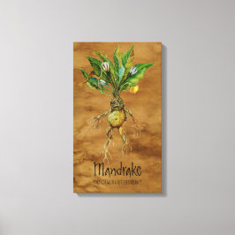 Impressão Em Tela Plantas Mágicas Mandrake 1 12,84'' x 21,93'' Canva