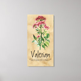 Impressão Em Tela Plantas mágicas Valerianas 21,29'' x 42,05'' Canva
