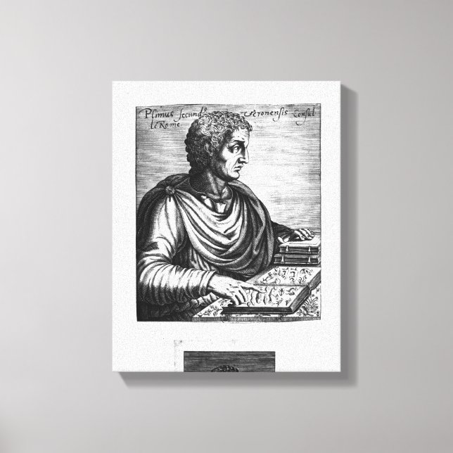 Impressão Em Tela Pliny the Elder (Frente)