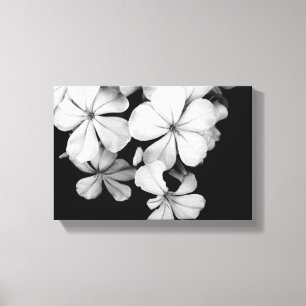 Impressão Em Tela Plumbago preto e branco