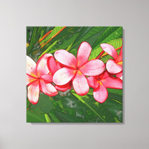 Impressão Em Tela Plumerias rosa