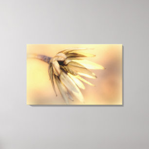 Impressão Em Tela Pod de Semente Vazia do Poplar