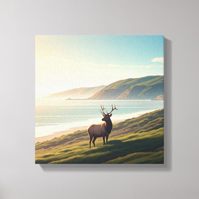 Impressão Em Tela Point Reyes National Seashore Elk (Frente)