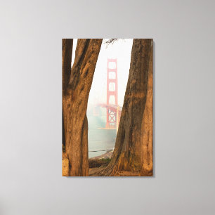 Impressão Em Tela Ponte Ouro Gate   Árvores da Visão Geral