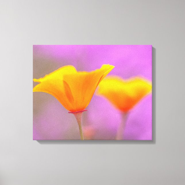 Impressão Em Tela Poppies (Frente)