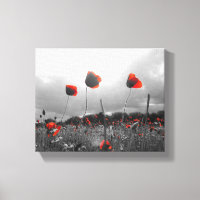 Poppies em preto, branco e vermelho