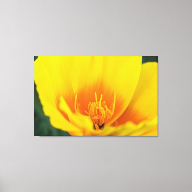 Impressão Em Tela Poppy (Frente)