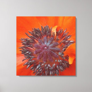 Impressão Em Tela Poppy Seeds