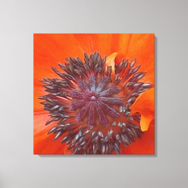 Impressão Em Tela Poppy Seeds (Frente)