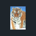 Impressão Em Tela Popular Montanhas Tiger Snow Foto Invernal<br><div class="desc">Popular Montanhas de Neve Tigre Impressão de Canvas de Foto de Inverno na Natureza.</div>